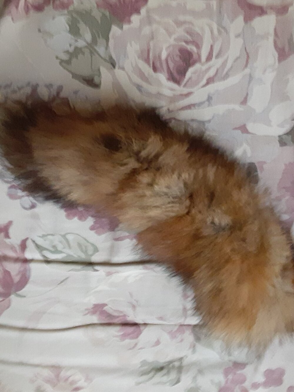 Fox Tail Real Fur - Picture 3 of 3